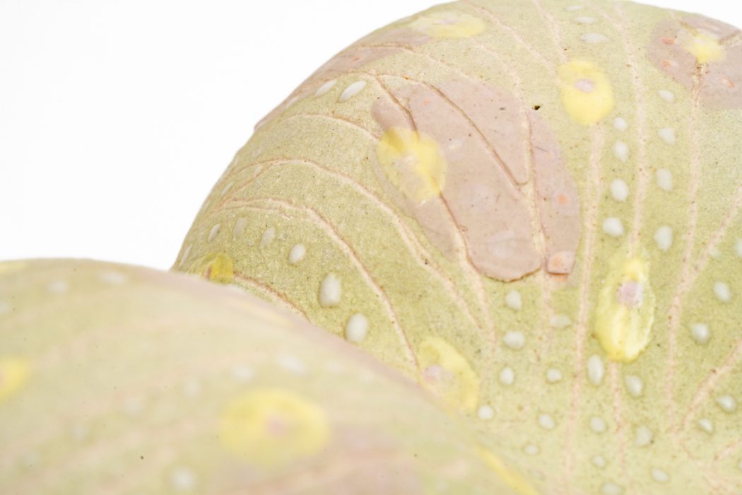 3種子系列４-6網站用圖