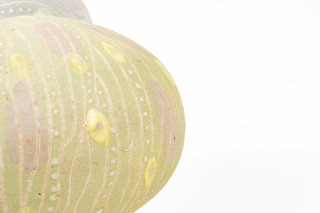 4種子系列４-5網站用圖